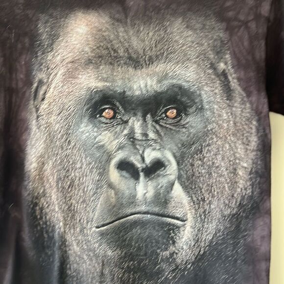 Youth boys size large (12-14) Smithsonian Gorilla faced tshirt. - Picture 2 of 6